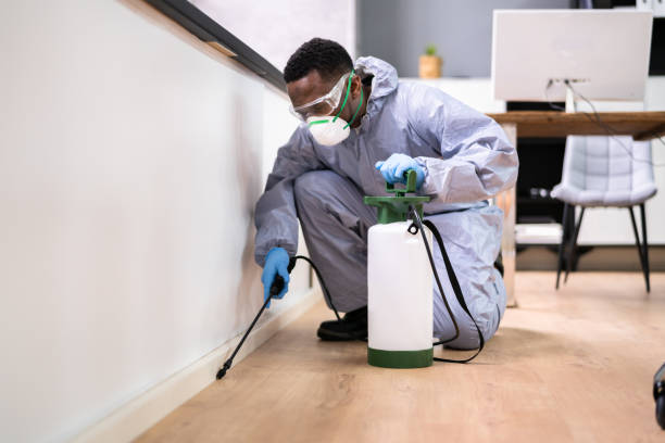 Reliable Little Elm, TX Pest Control Solutions